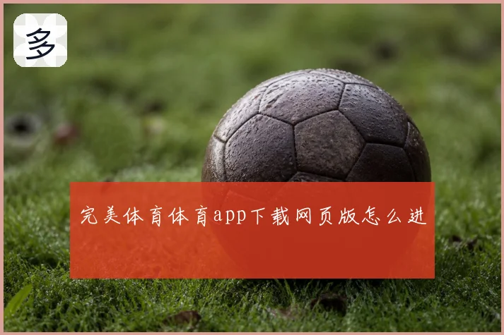 完美体育体育app下载网页版怎么进