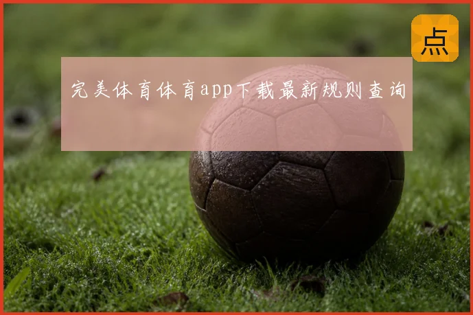 完美体育体育app下载最新规则查询