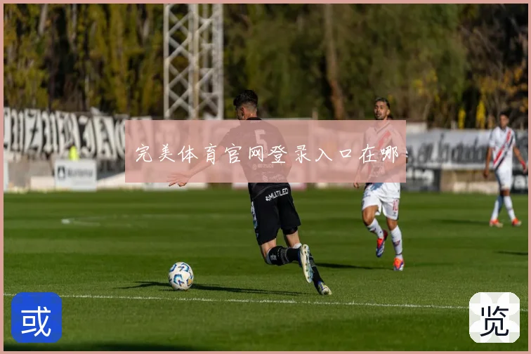 完美体育官网登录入口在哪